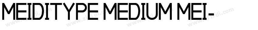 MEIDITYPE MEDIUM MEI字体转换